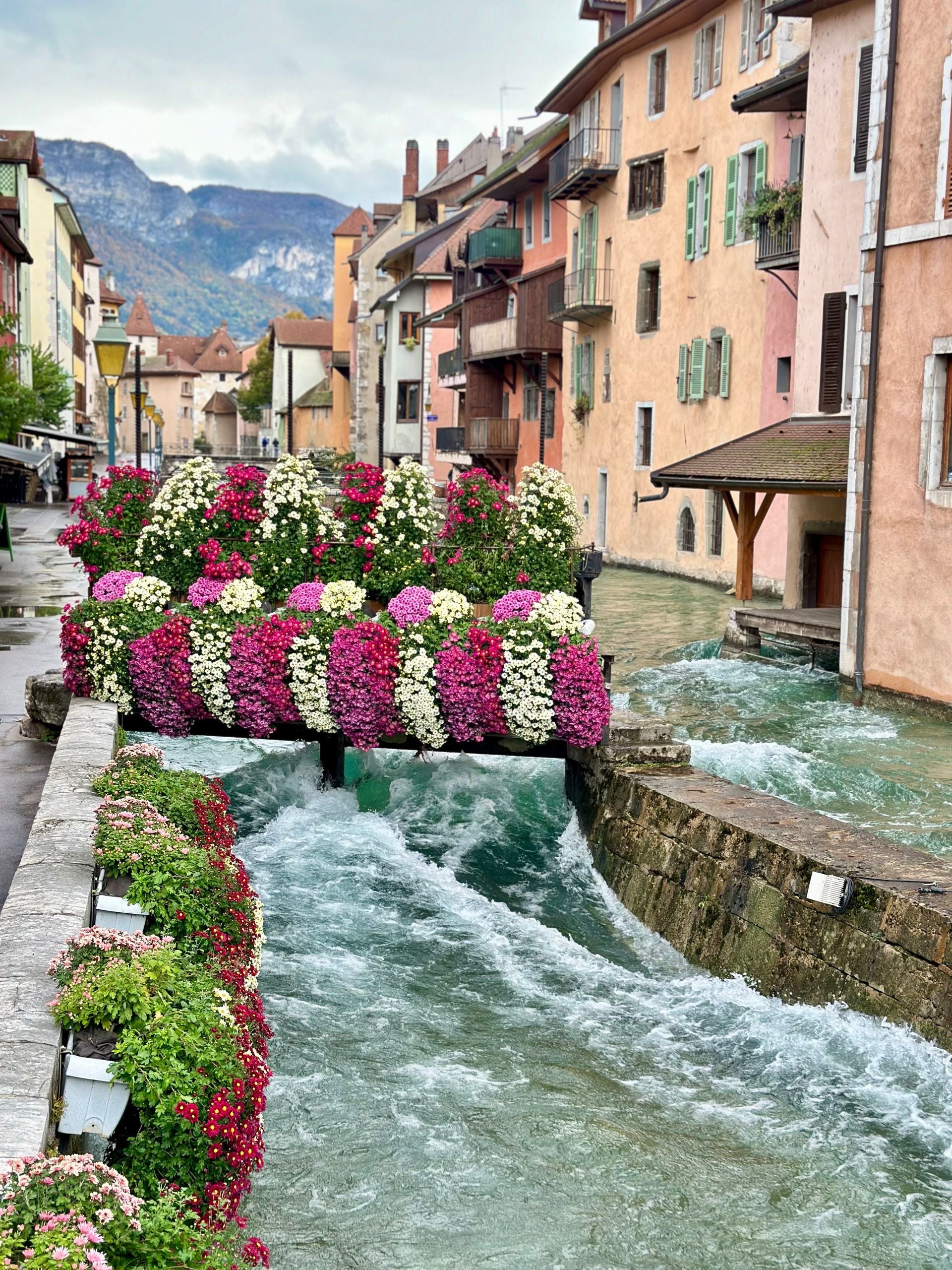 Flower-lined canal flowing through a European town with pastel buildings and mountains in the background.